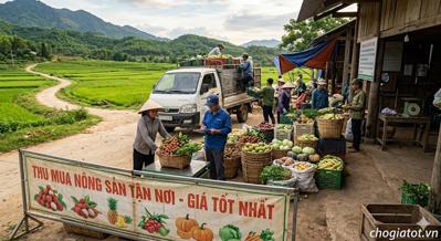 Thu mua nông sản