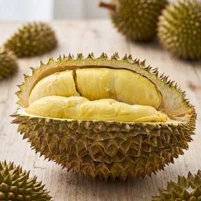 Sầu riêng organic