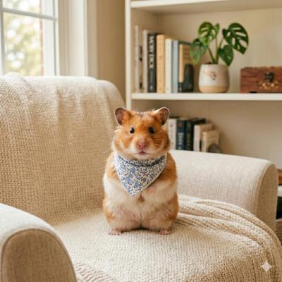 Hamster dễ thương