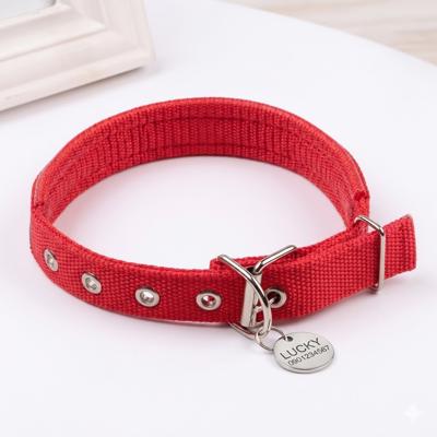 Phụ kiện thú cưng