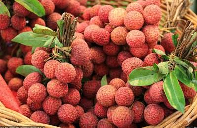 Bán vải