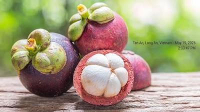 Măng cụt