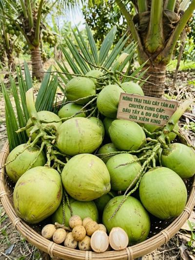 Bán dừa