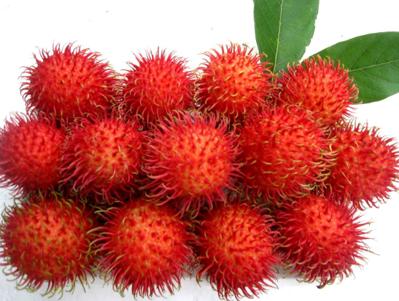 Bán chôm chôm long khánh đồng nai
