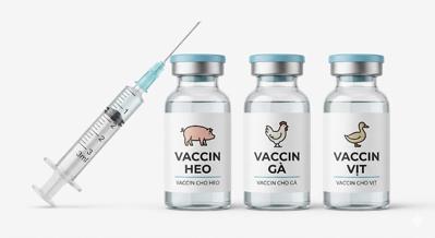 Bán vaccin gia súc và gia cầm