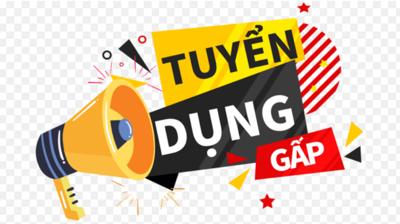 Tuyển dụng gấp