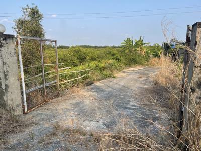 Bán đất vườn tại thủ thừa Long An ( cũ) - Tây Ninh