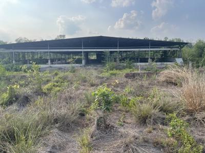 Cho thuê kho xưởng tại Tây Ninh