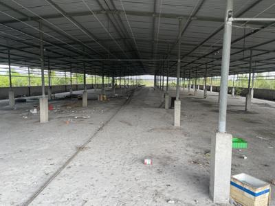 Cho thuê kho xưởng tại Tây Ninh